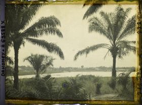 Image représentant Paysage en direction de la lagune, à Porto-Novo ?