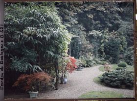 Image représentant Bonsaïs d'érables rougeoyants au pied de bambous masquant la maison est du " village japonais "