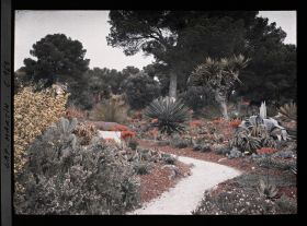 Image représentant Cap Martin - Le Jardin