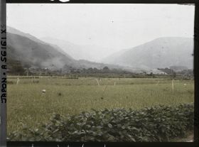 Image représentant Rizière et mûriers