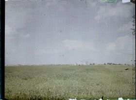 Image représentant France, Ablain-St Nazaire, La Campagne autour de Neuville-St Vaast