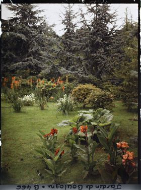 Image représentant Pelouse ornée de cannas et kniphofias, située non loin du marais et vue en direction du nord-est