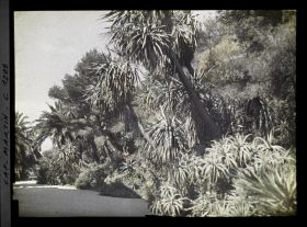 Image représentant Le Jardin