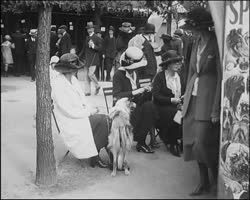 Image représentant Exposition canine aux Tuileries