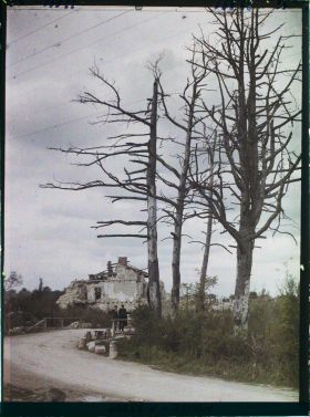 Image représentant France, Fresnes en Woèvre, Les arbres morts à l'entrée du Village
