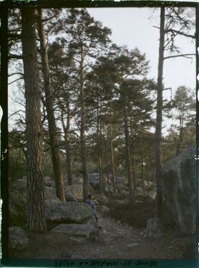 Image représentant France, Fontainebleau, Forêt de Fontainebleau