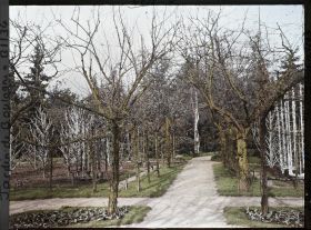 Image représentant Allée du verger-roseraie menant à la forêt bleue, depuis le rond-point proche du jardin français