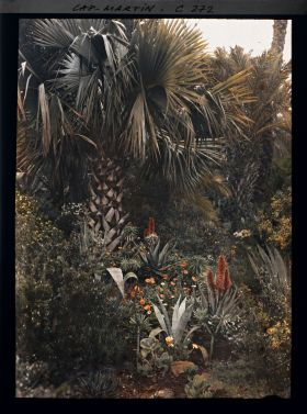 Image représentant Cap-Martin - Le Jardin