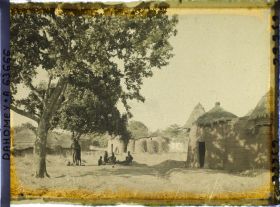 Image représentant Un akée (ou blighia sapida) dans un coin du village de Natitingou