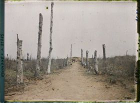 Image représentant Belgique, Kemmel, Le Chemin de Locre au Sommet du Kemmel