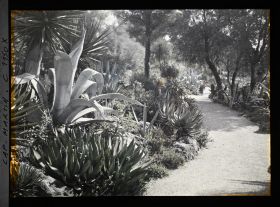 Image représentant le jardin