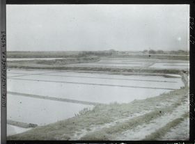 Image représentant Les marais salants