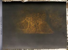 Image représentant La grotte des Trois-Frères : les chouettes