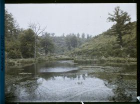 Image représentant France, La Harazée, Le Ravin de la Fontaine-aux-Charmes