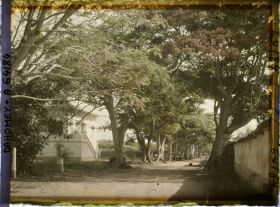 Image représentant La route de Sakété