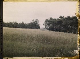 Image représentant Ile de France, Vallangoujard, Champ d'Avoine