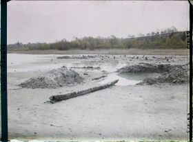 Image représentant Site palafittique préhistorique des Alpes, pieux en bois visibles lors de la baisse des eaux après la grande sécheresse de 1921 sur le lac de Neuchâtel