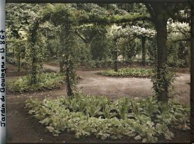 Image représentant Partie nord-est du verger-roseraie vue depuis le rond-point planté de légumes, côté jardin français