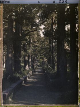 Image représentant Konglin, la nécropole de la famille de Confucius