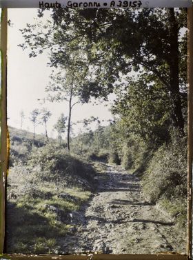 Image représentant France, Montespan (Hte Garonne), Chemin de la Grotte