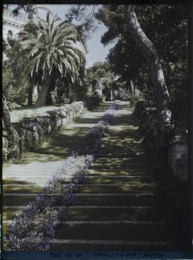 Image représentant Grand escalier du jardin de la villa Cypris orné d'une cascade de fleurs bleues