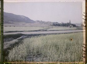 Image représentant Afghanistan, Meidan, Paysage et Champ de Colza