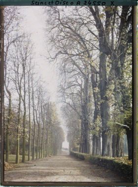 Image représentant Une allée du parc