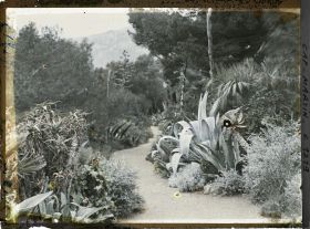 Image représentant coucher de Soleil