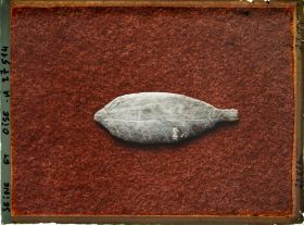 Image représentant France, St Germain-en-Laye, Poisson de Mr de St Périer 63957