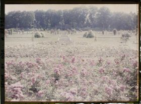 Image représentant Propriété de madame Douine