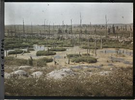 Image représentant France, Les Marais de la Cote 108 et les arbres déchiquetés