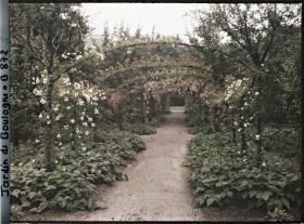 Image représentant Axe central du verger-roseraie bordé de légumes, vu vers l'est, après le rond-point côté dépendance