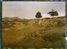 Image représentant France