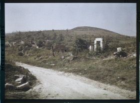 Image représentant France, Les Eparges, Près des Eparges, le bois haut