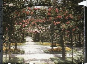 Image représentant Axe central du verger-roseraie vu vers la dépendance, à l'approche du rond-point côté jardin français