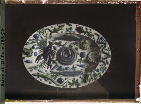 Image représentant Plat de céramique de Bernard Palissy des collections du musée de Sèvres