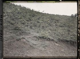 Image représentant Maquis de petits chênes