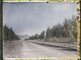 Image représentant L'avenue reliant Kaboul à Dar-Ul-Aman (actuel boulevard Dar-Ul-Aman, vers la vieille ville)