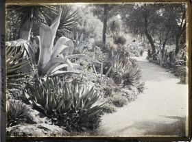 Image représentant le jardin