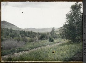 Image représentant Vue de la taïga avec des montagnes à l'arrière-plan