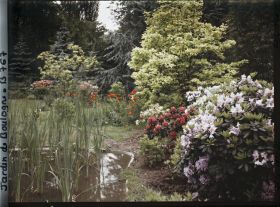 Image représentant Le marais