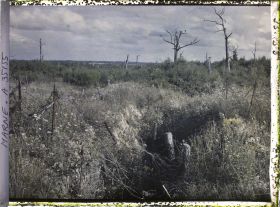 Image représentant France, Vienne le Château , Tranchée au Bois de la Gruerie, à l'est de la route de Binarville