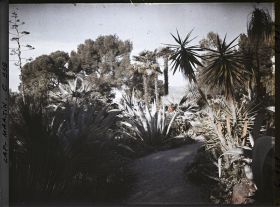 Image représentant Le Jardin (matin)