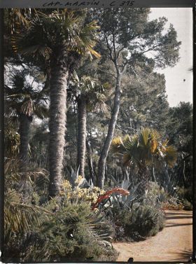 Image représentant Cap-Martin - Le Jardin