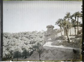 Image représentant Palmeraie et tour de garde