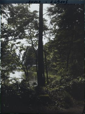 Image représentant Canada, Vancouver, Sous-Bois