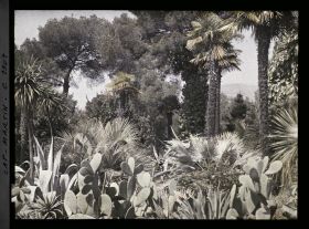 Image représentant Le Jardin