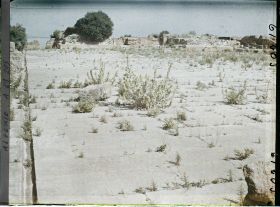 Image représentant Le dallage de la place du forum