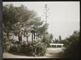 Image représentant Banc en partie basse du jardin de la villa Miramar qui domine la mer