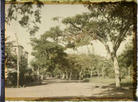 Image représentant Une allée de la Résidence du gouverneur